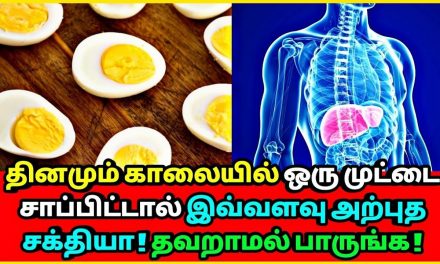 Rx GallStones epi 2 (Eng) LOSE WEIGHT FAST & LOSE YOUR GALL BLADDER | IF & KETO DIET | Dr.Education