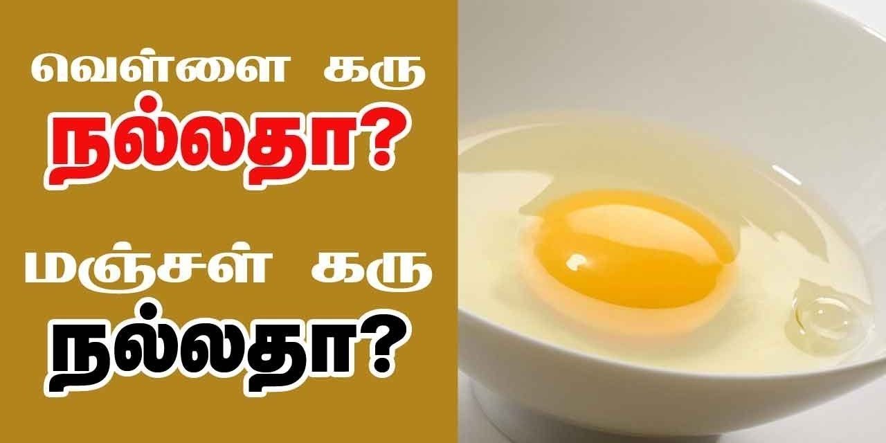 Benefits of Eating Eggs in Tamil  Weight Loss  Memory Power  Healthy Life   Tamil