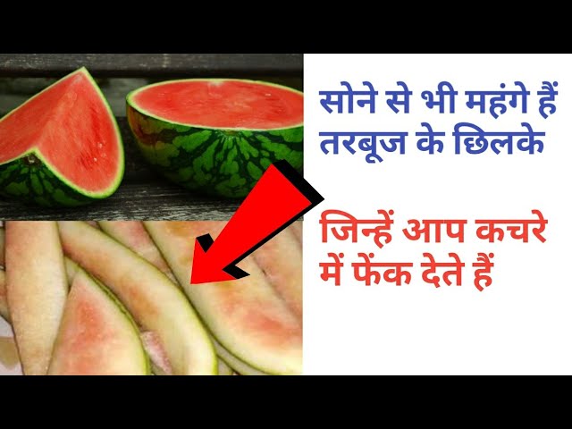 वैज्ञानिकों की नई रिसर्च -खोज, बड़ा खुलासा, health tips weight loss,Watermelon Peel use