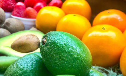 Effortless Weight Loss: Uncovering the Power of the Paleo and Mediterranean Diets